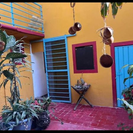 Hotel Casa Grey Oaxaca Esterno foto